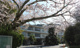 甲賀市立水口小学校の画像