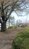公園 青空公園