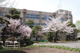 秋田市立外旭川小学校の画像