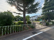 竹谷公園