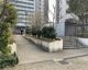 中六桜広場の画像