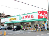 ドラッグストア スギ薬局 駒林店