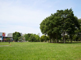 公園 福岡中央公園