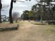 八幡山公園の画像