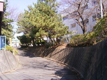 浜小学校の画像2