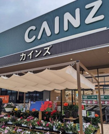 カインズ 本庄早稲田店の画像1