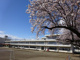 水沢南中学校の画像
