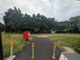 植田大坪公園の画像