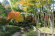 江戸川区立行船公園の画像