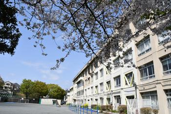 藤沢市立大鋸小学校の画像1