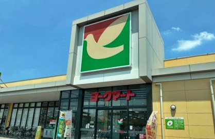 ヨークマート 入間店の画像1