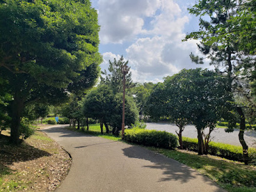 遠藤公園の画像1