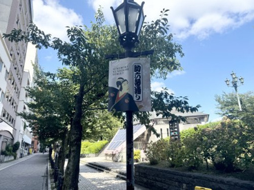 助六夢通りの画像3
