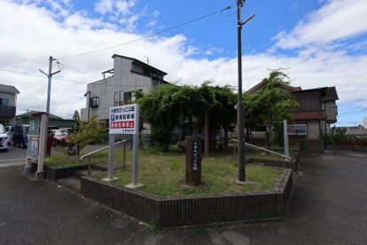 小寺ちびっこ公園の画像1