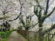 下溝古山公園の画像