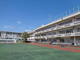 大田区立田園調布小学校の画像