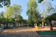 馬橋公園の画像