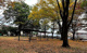 高倉公園の画像