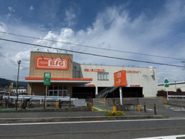ザ・ビッグ 平塚真田店の画像1