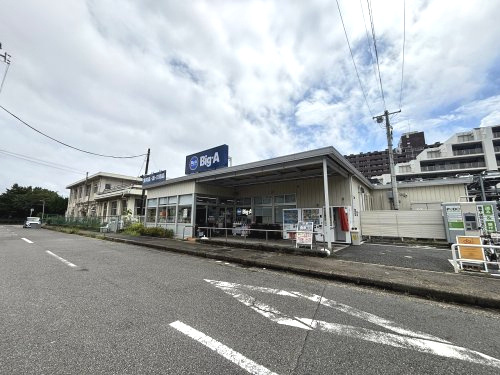 ビッグ・エー千葉真砂店