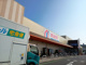 マミープラス柏根戸店の画像