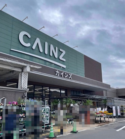 カインズ 横須賀久里浜店の画像1