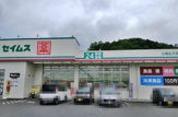ドラッグセイムス 入間仏子店