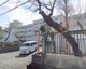 川越市立初雁中学校の画像