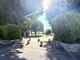 大杉公園の画像