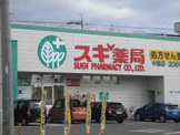 ドラッグストア スギ薬局 中鶉店