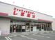 しまむら 城南店の画像