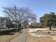 川添公園の画像