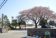 小山市立大谷北小学校の画像