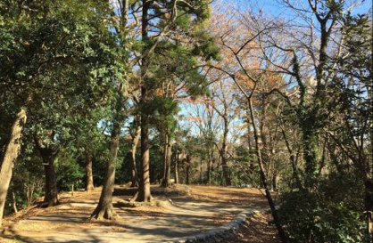 寺前公園の画像1