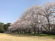 気象台記念公園の画像