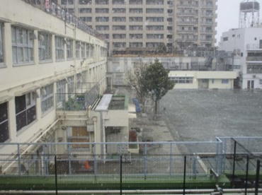 世田谷区立塚戸小学校の画像1