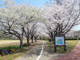 砂沼広域公園の画像