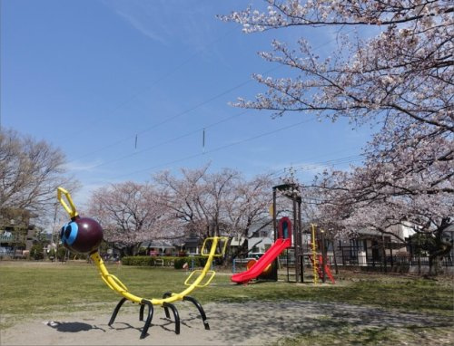 新宿第1公園の画像