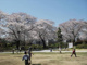 立川公園の画像