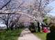 三橋総合公園の画像