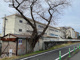 八王子市立第四中学校の画像