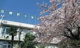 文京区立柳町小学校の画像