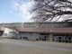 柏市立豊小学校の画像