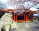 旗岡八幡神社の画像