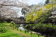 引地川公園ふれあいの森の画像