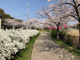 蛇池公園の画像