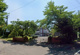 御代田小学校の画像