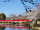岩槻城址公園の画像