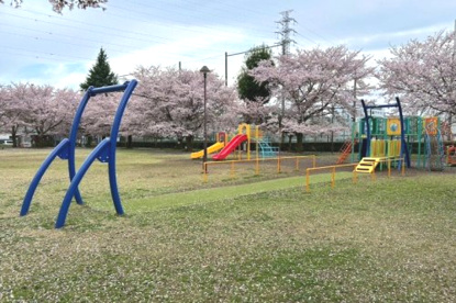 小山公園の画像1