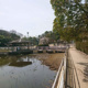大池公園の画像